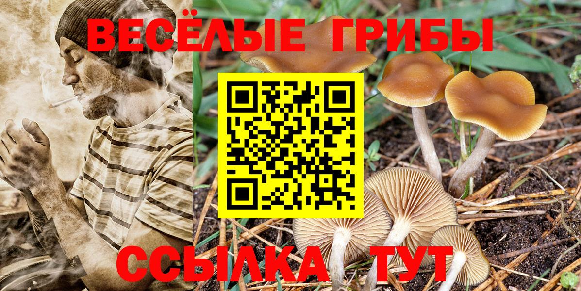 Псилоцибиновые грибы Magic Shrooms  Вход с VPN  Ачинск 